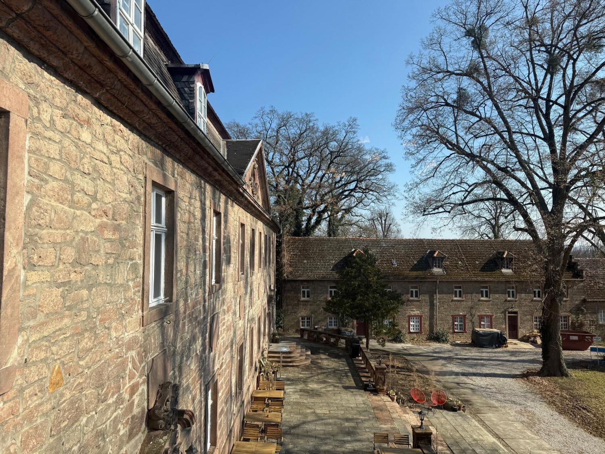 Schloss Zingst Querfurt المظهر الخارجي الصورة